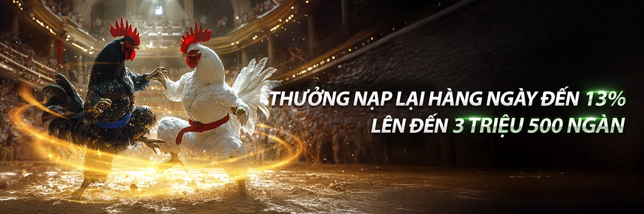Ưu Đãi và Lợi Ích Thành Viên ibet188