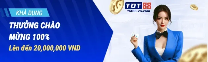 Chính sách bảo mật và điều khoản